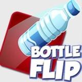 Bottle Flip